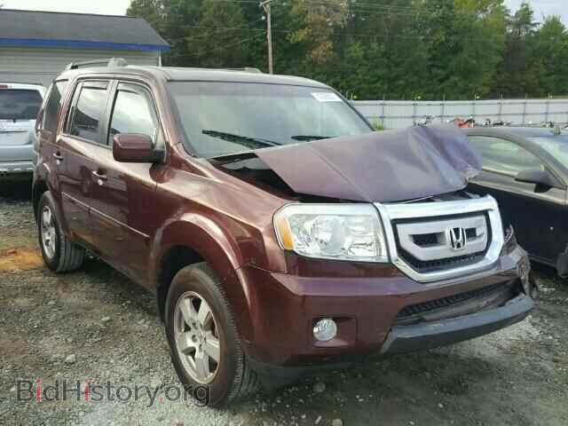 Фотография 5FNYF3H58BB022657 - HONDA PILOT 2011