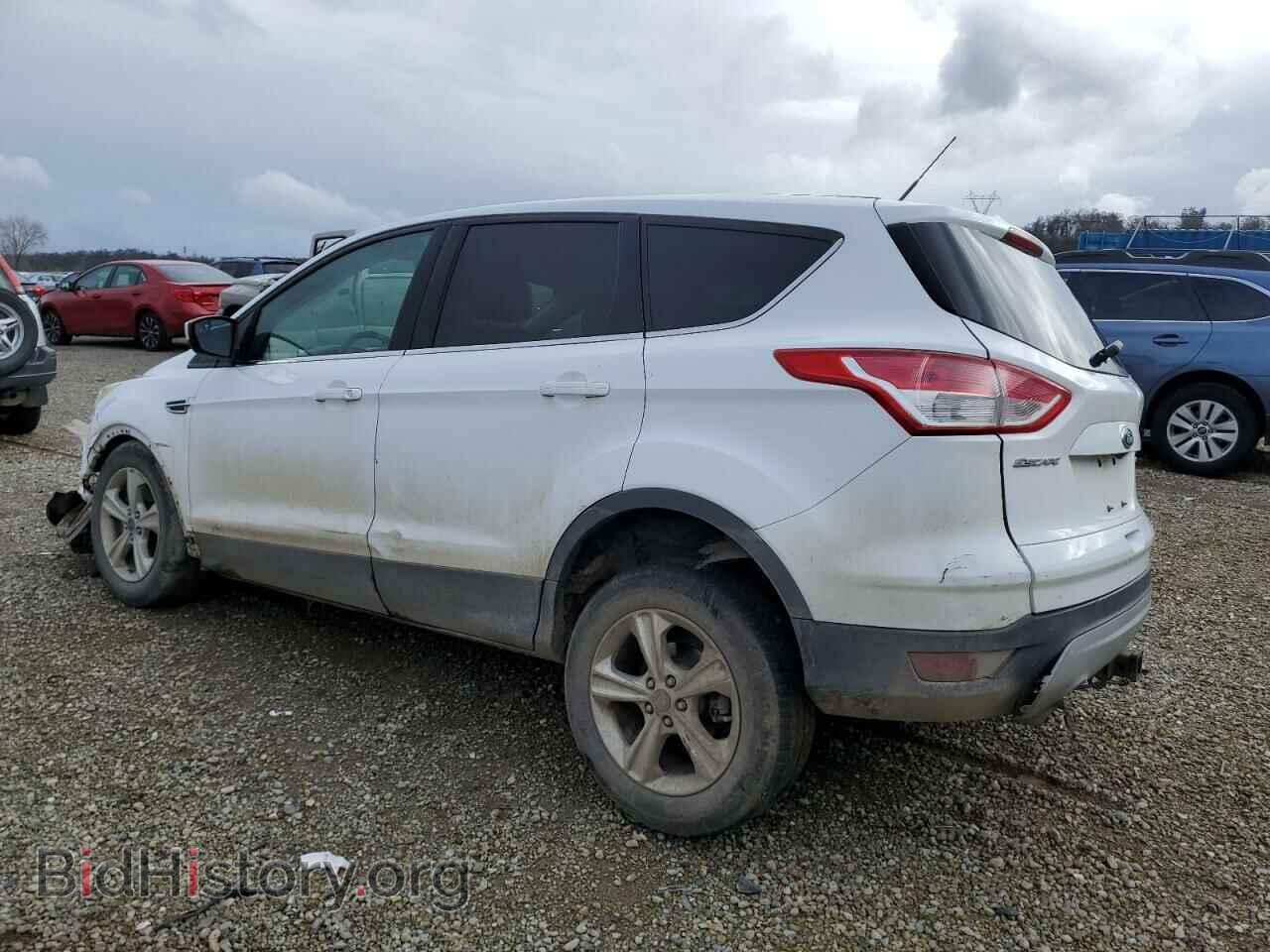2014 FORD ESCAPE - VIN: 1FMCU9G97EUD38971 - Фото 2