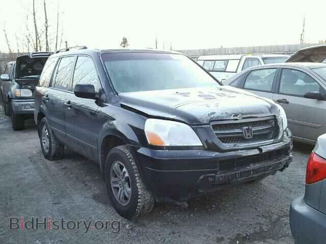 Фотография 2HKYF18585H572225 - HONDA PILOT 2005