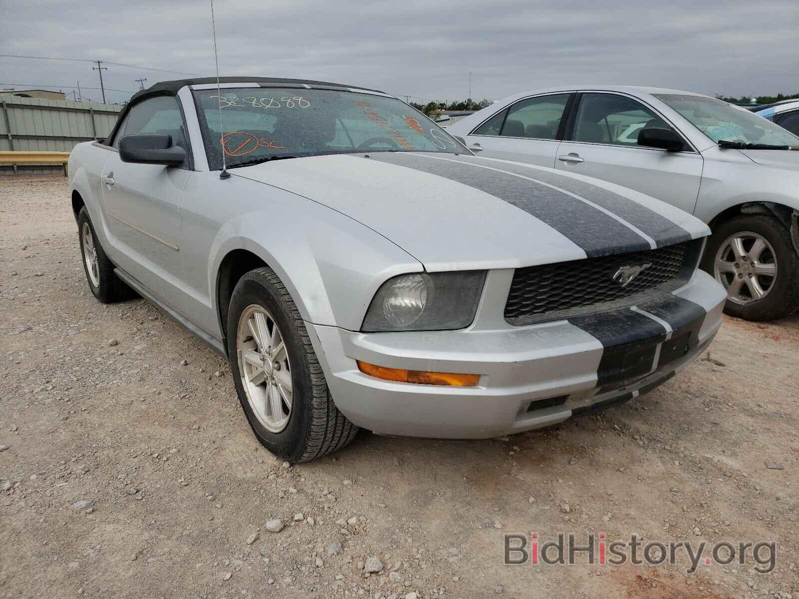 Photo 1ZVFT84N175328088 - FORD MUSTANG 2007