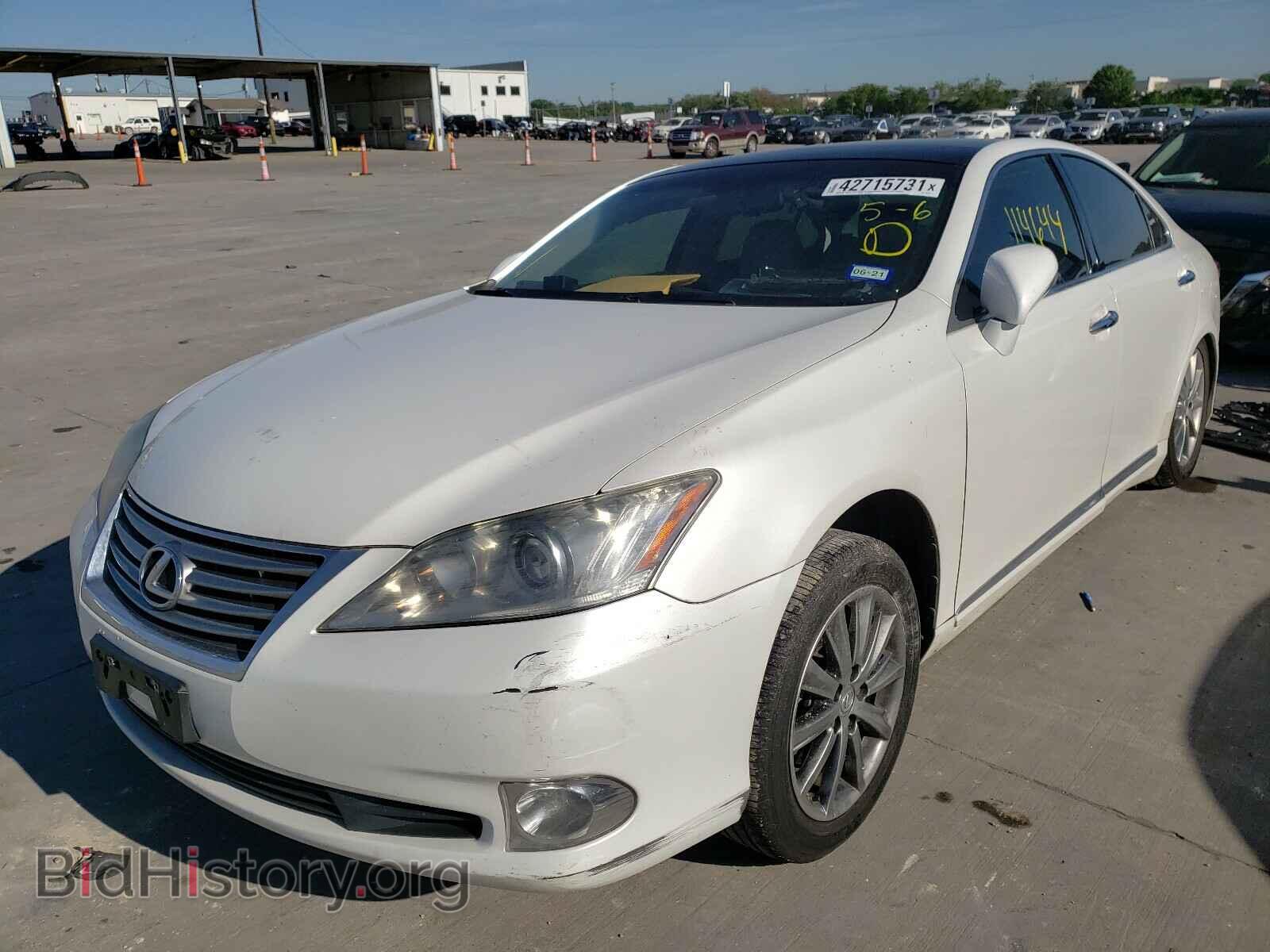 2011 LEXUS ES350 - VIN: JTHBK1EG9B2423650 - Фото 2