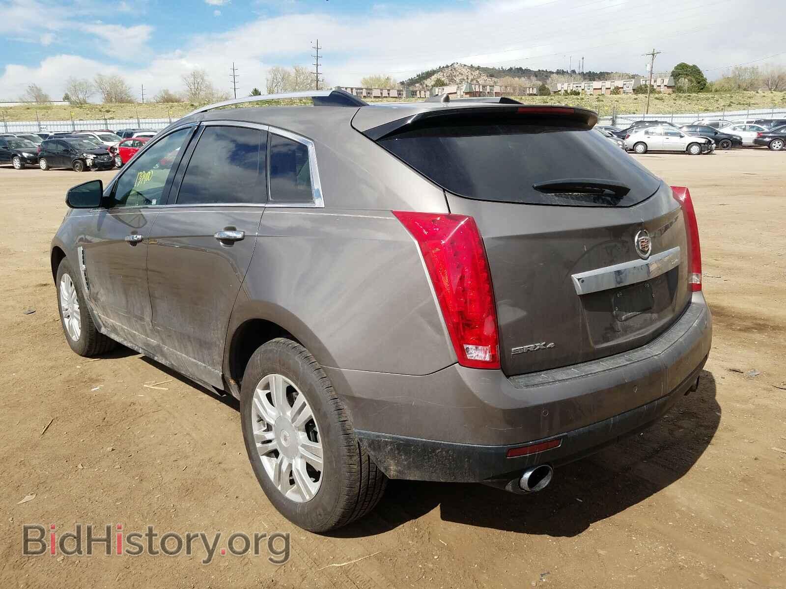 2011 CADILLAC SRX - VIN: 3GYFNDEY5BS525367 - Фото 3