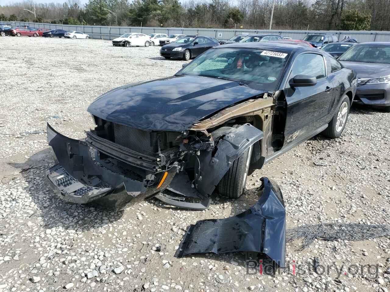 Photo 1ZVBP8AM5C5236510 - FORD MUSTANG 2012