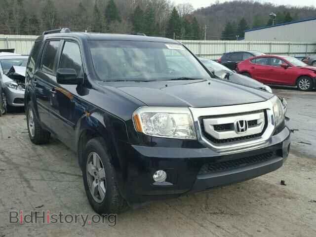 Фотография 5FNYF4H67BB071265 - HONDA PILOT 2011