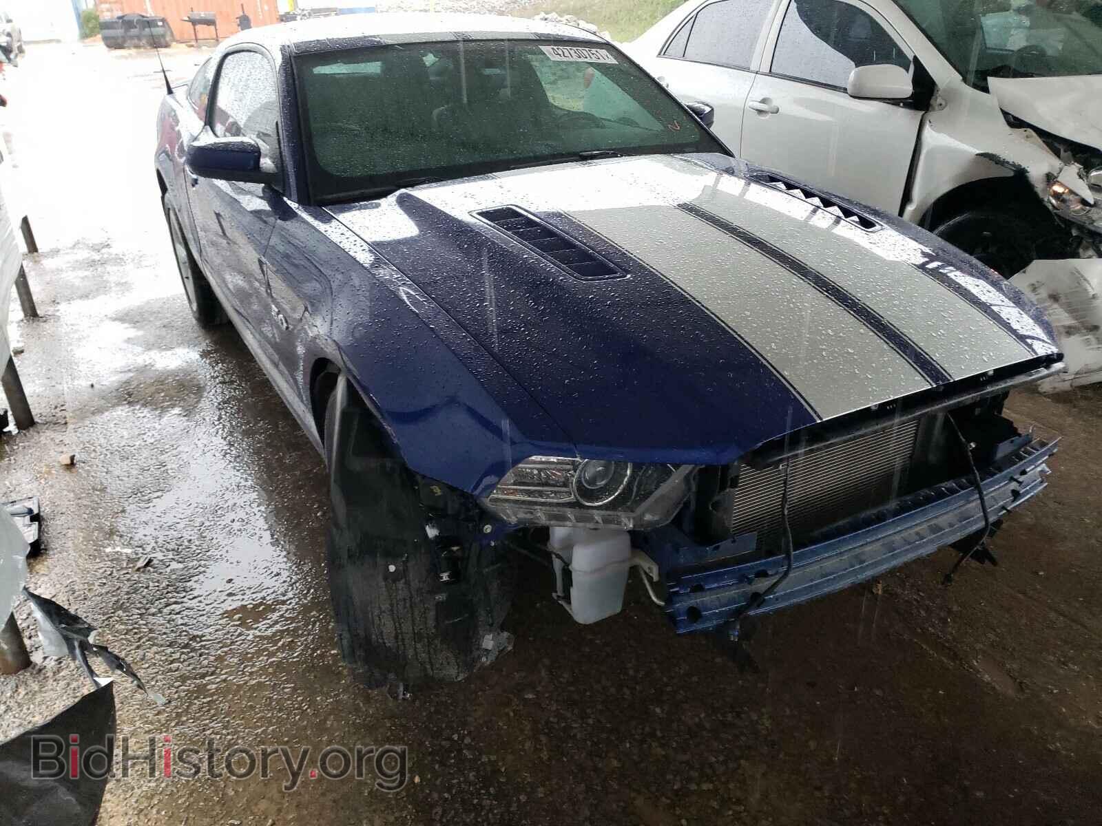 Фотография 1ZVBP8CF6D5220249 - FORD MUSTANG 2013