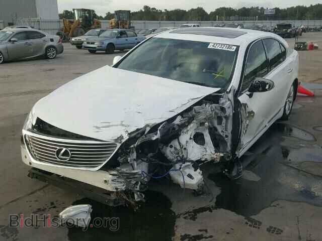 2009 LEXUS LS460 - VIN: JTHBL46F895090290 - Фото 2
