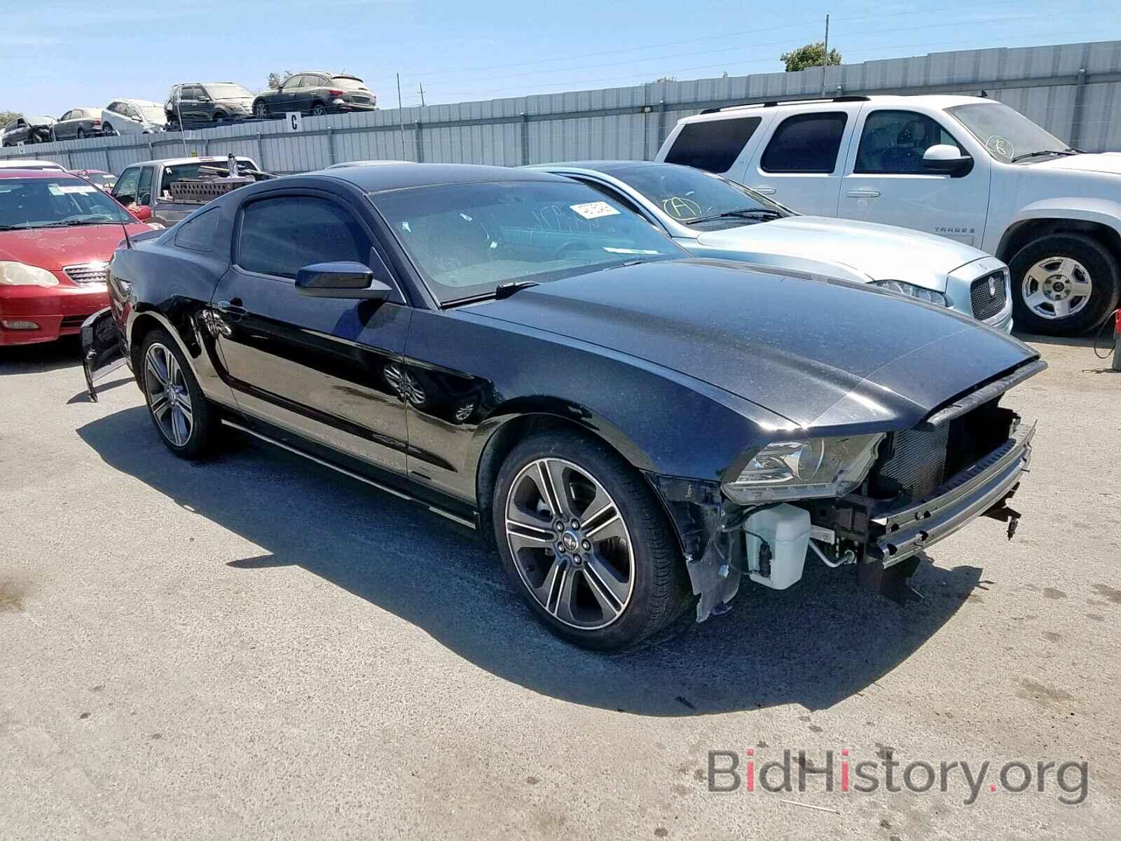 Photo 1ZVBP8AM1D5236389 - FORD MUSTANG 2013