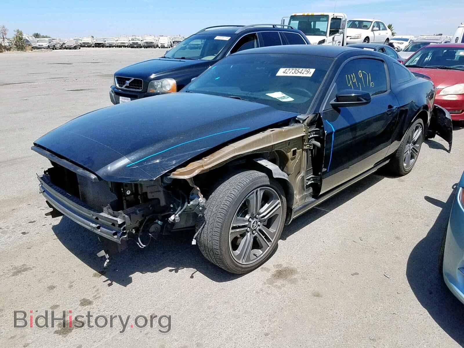 2013 FORD MUSTANG - VIN: 1ZVBP8AM1D5236389 - Фото 2