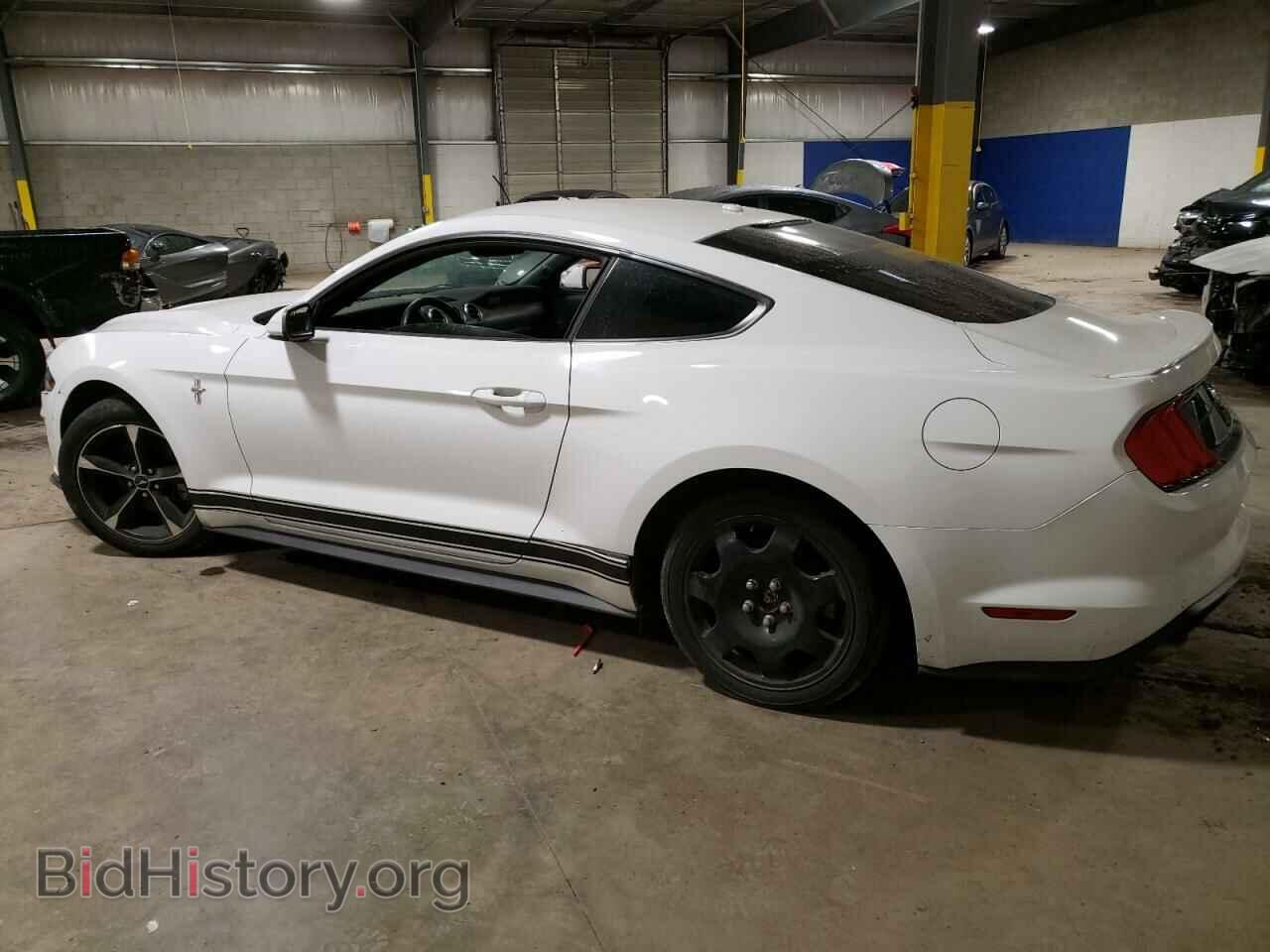 2019 FORD ALL Models - VIN: 1FA6P8TH2K5152766 - Фото 2