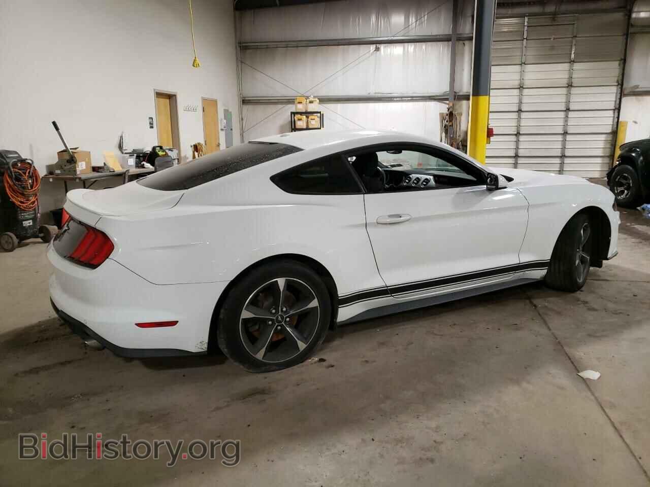 2019 FORD ALL Models - VIN: 1FA6P8TH2K5152766 - Фото 3