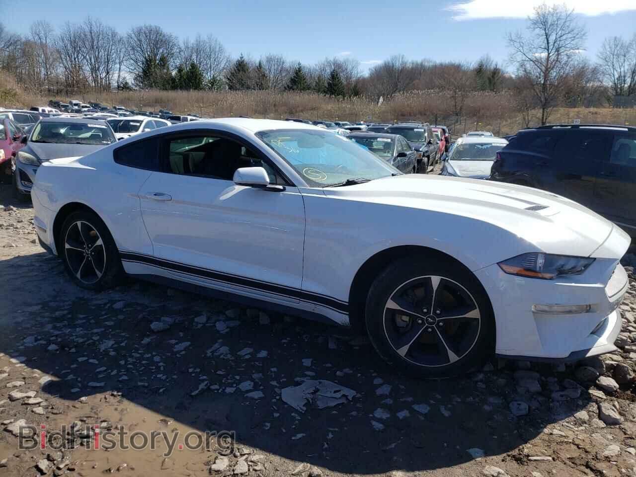 2019 FORD ALL Models - VIN: 1FA6P8TH2K5152766 - Фото 4