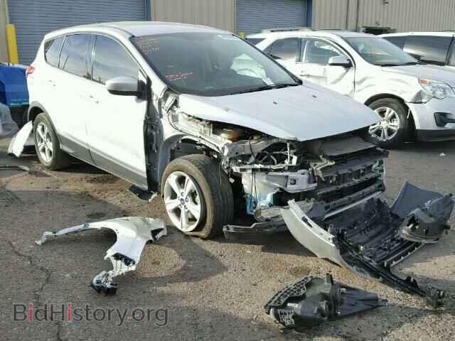 Фотография 1FMCU0GX8EUC85482 - FORD ESCAPE 2014