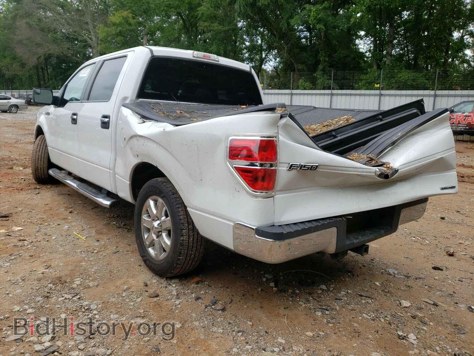 2013 FORD F150 - VIN: 1FTEW1CM1DFD75231 - Фото 3