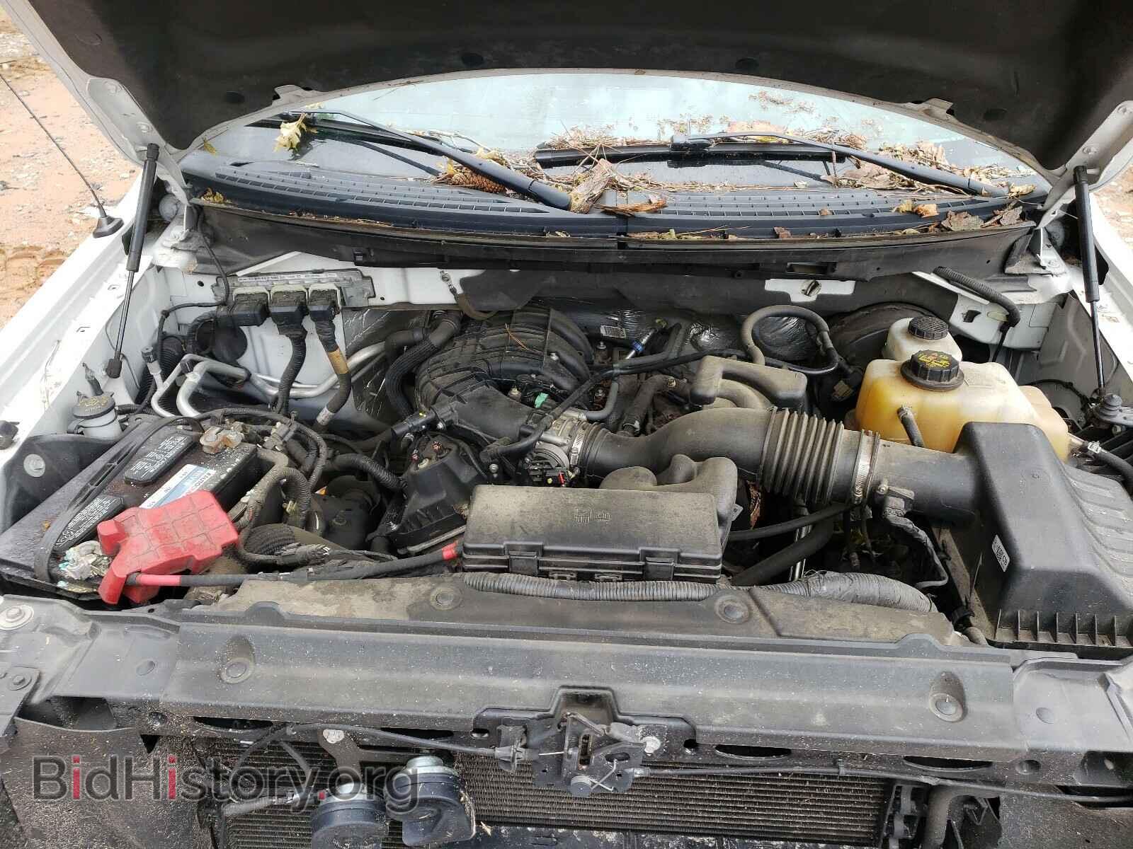 2013 FORD F150 - VIN: 1FTEW1CM1DFD75231 - Фото 7