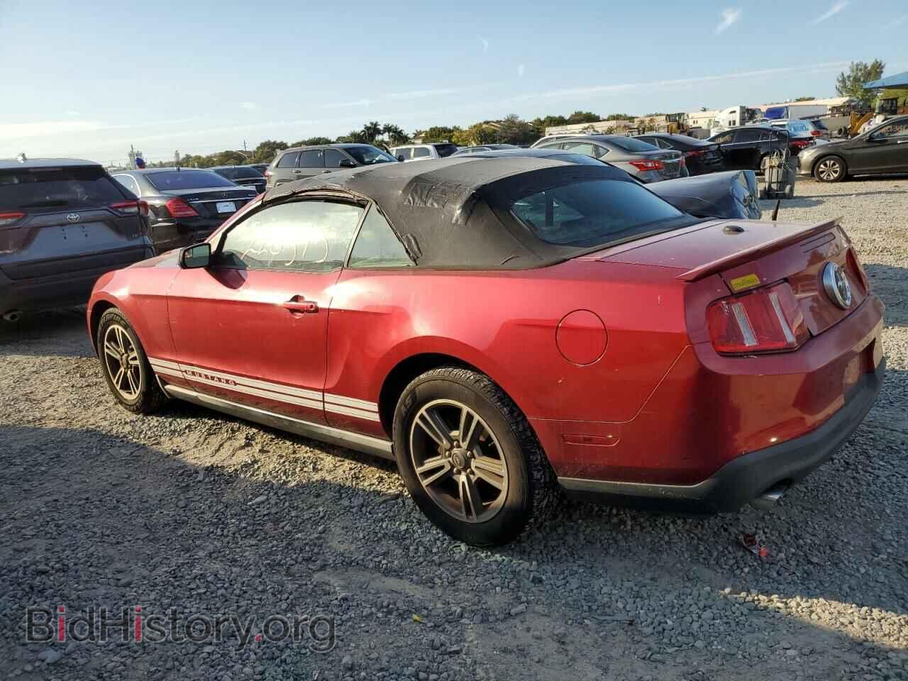 2011 FORD ALL Models - VIN: 1ZVBP8EM5B5117882 - Фото 2