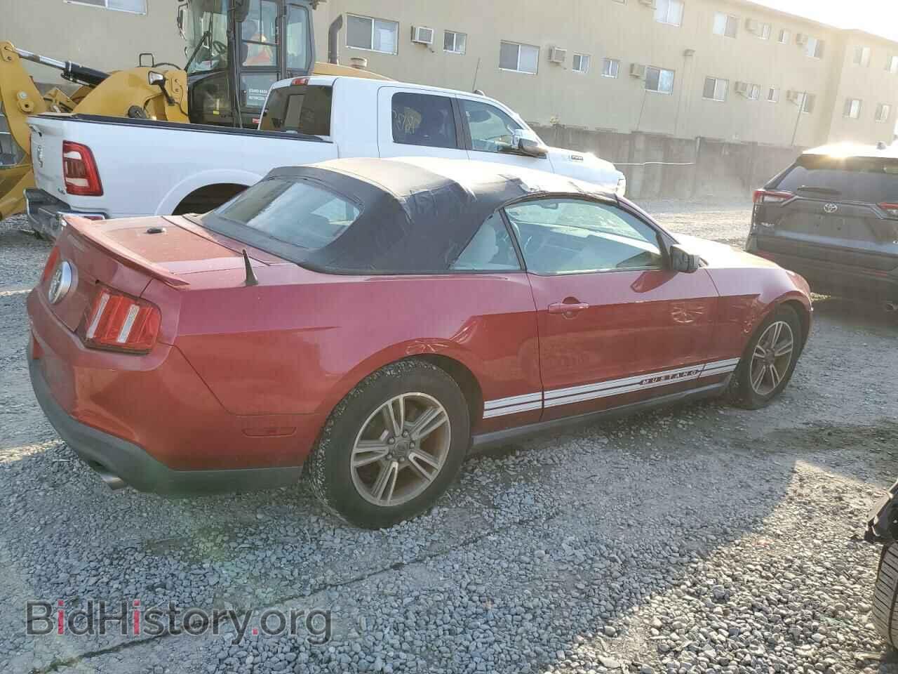 2011 FORD ALL Models - VIN: 1ZVBP8EM5B5117882 - Фото 3