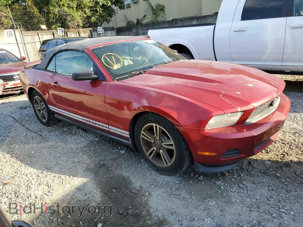 2011 FORD ALL Models - VIN: 1ZVBP8EM5B5117882 - Фото 4