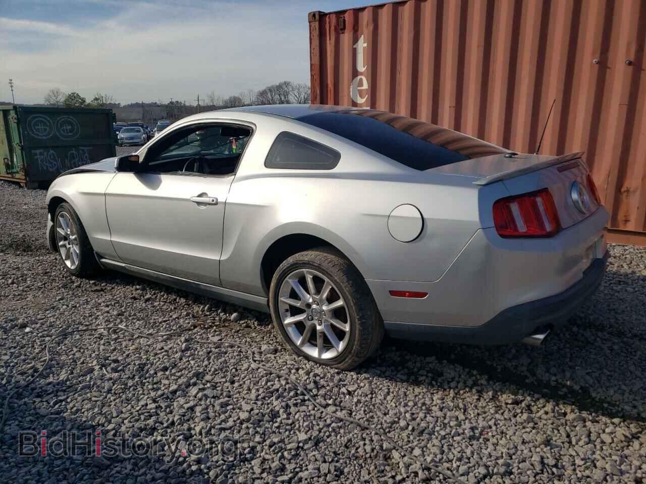 2010 FORD ALL Models - VIN: 1ZVBP8AN2A5177132 - Фото 2