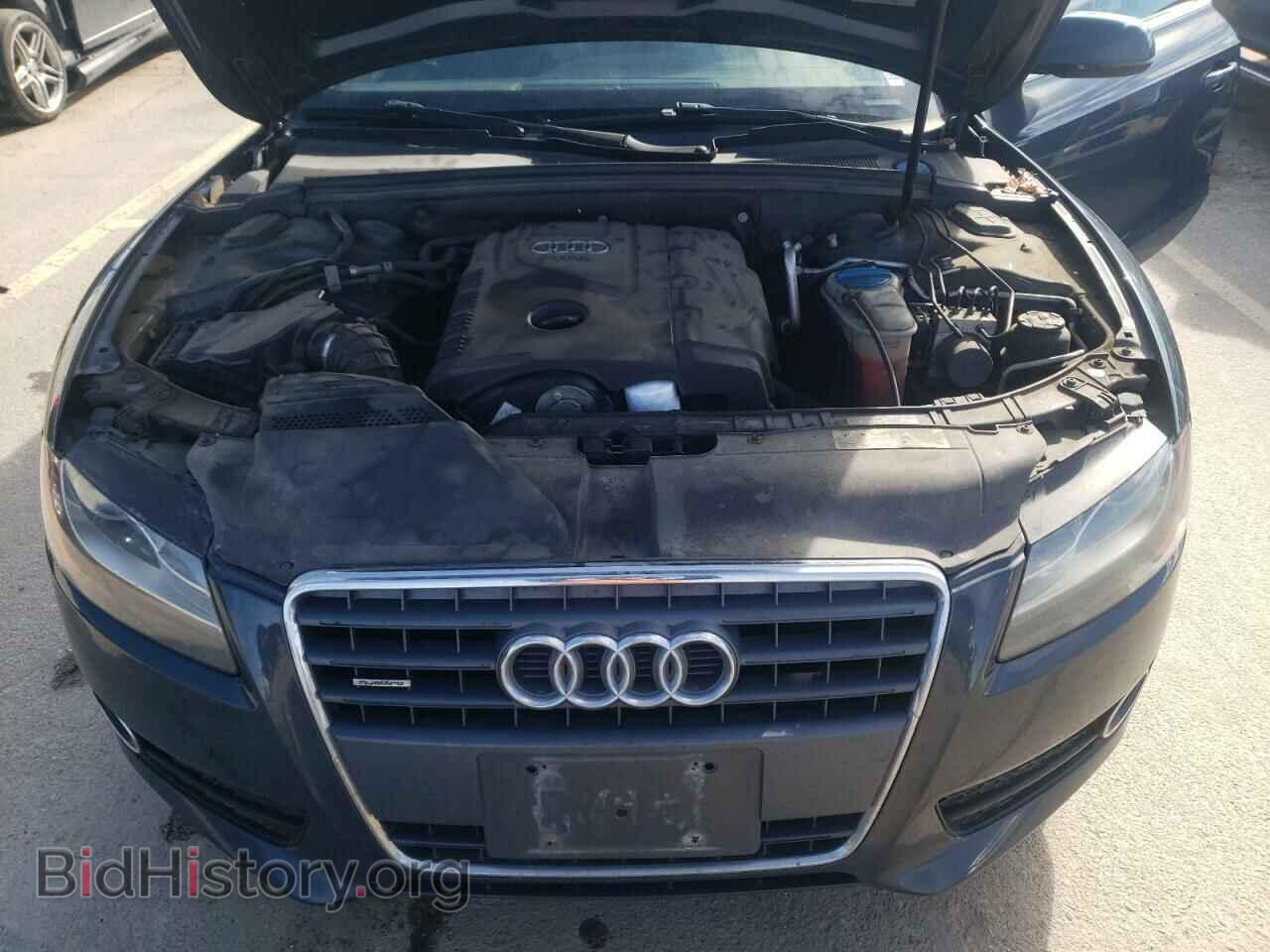 2011 AUDI A5 - VIN: WAULFAFH8BN002886 - Фото 11