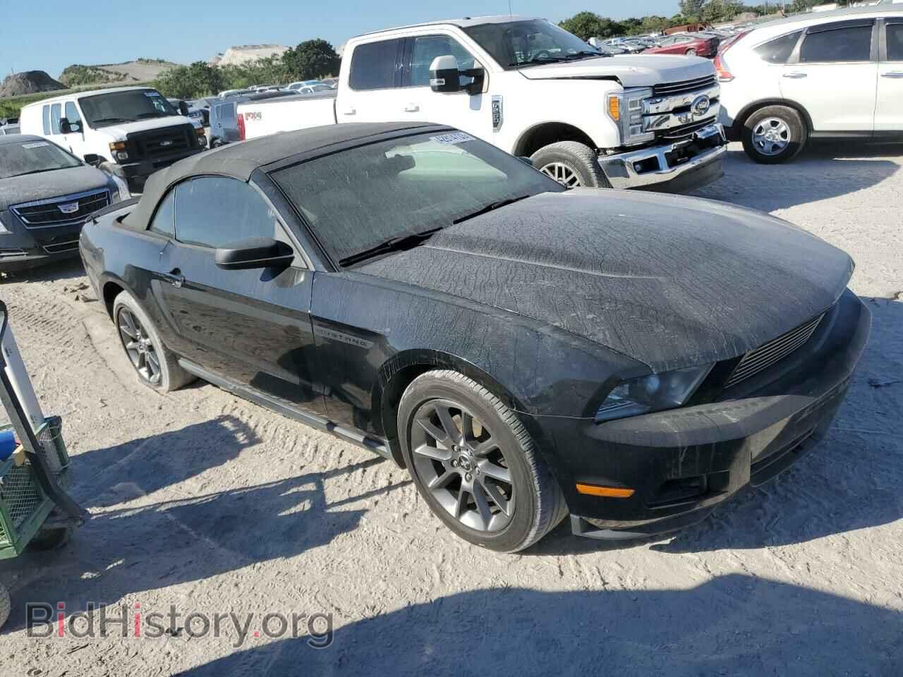 2011 FORD MUSTANG - VIN: 1ZVBP8EM6B5167917 - Фото 4