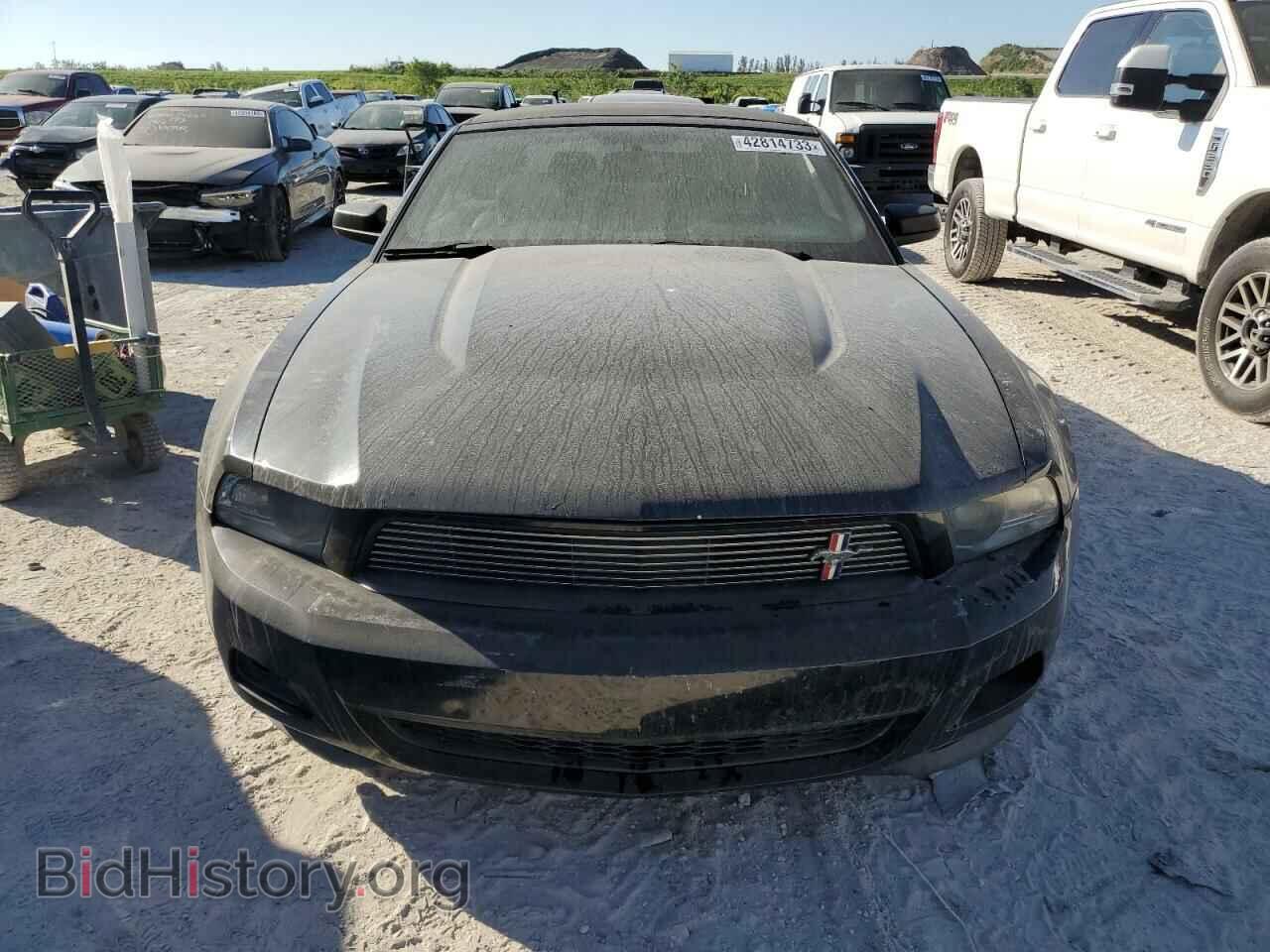 2011 FORD MUSTANG - VIN: 1ZVBP8EM6B5167917 - Фото 5