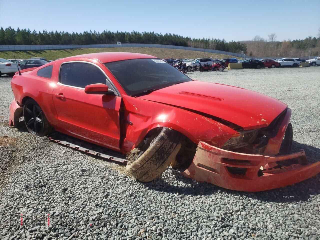 2014 FORD MUSTANG - VIN: 1ZVBP8CF6E5210192 - Фото 4