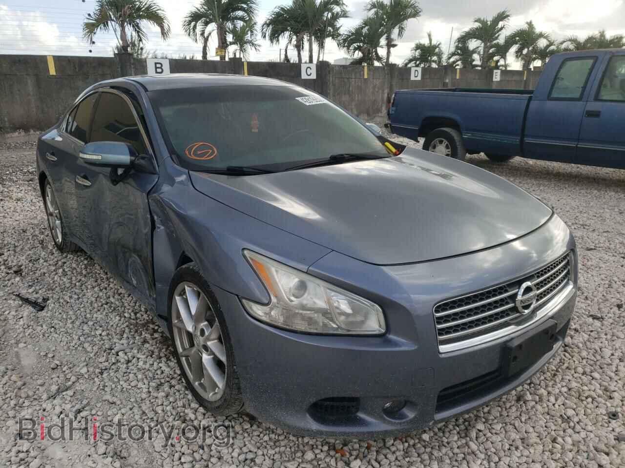 Photo 1N4AA5AP1AC802492 - NISSAN MAXIMA 2010