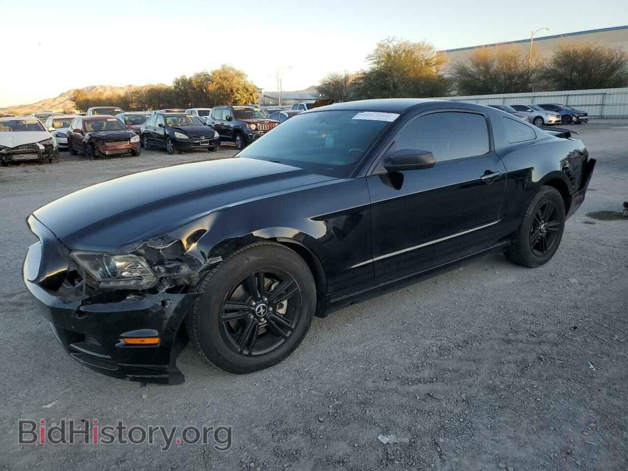 Photo 1ZVBP8AM1D5260336 - FORD ALL Models 2013