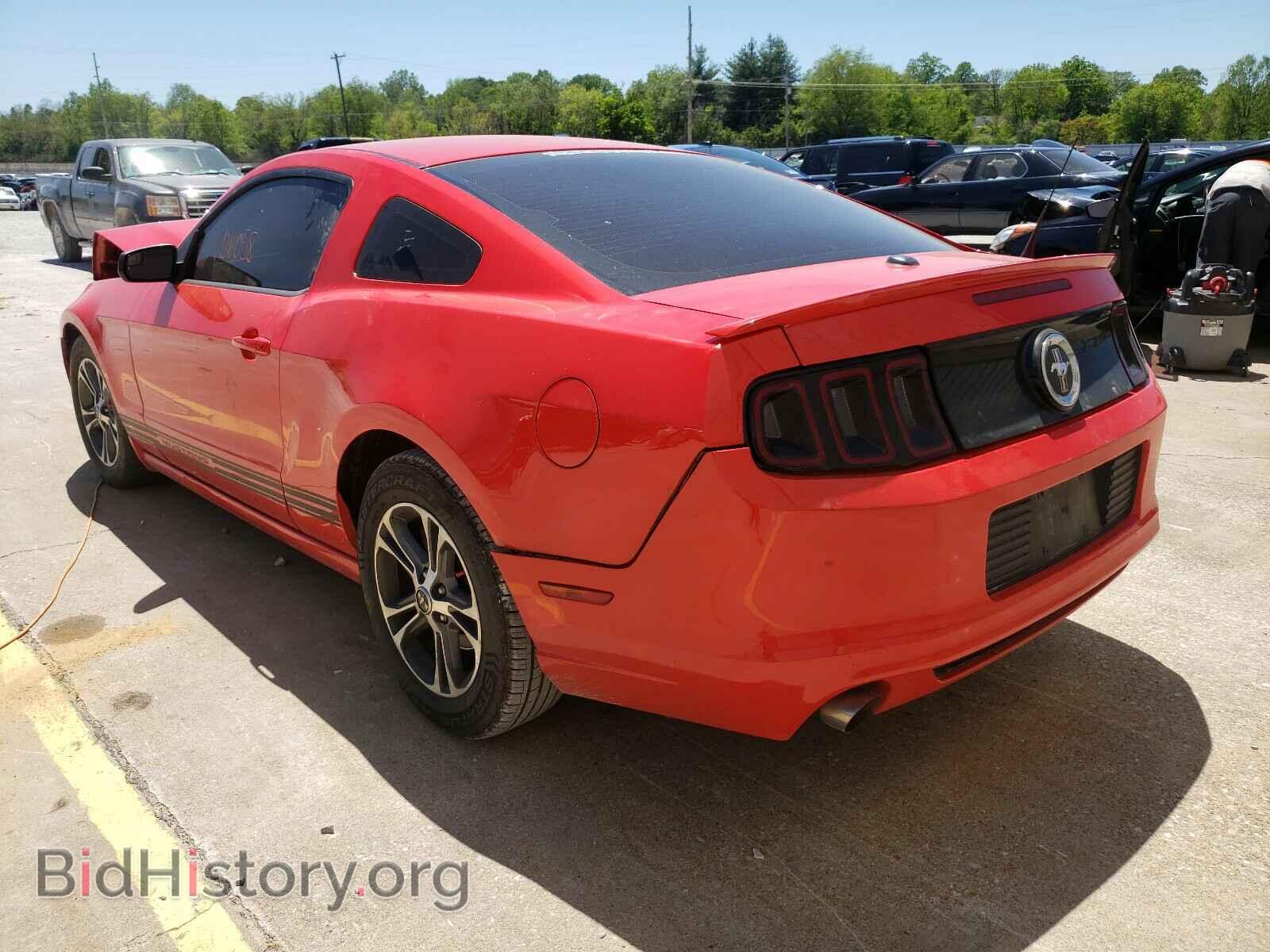 2014 FORD MUSTANG - VIN: 1ZVBP8AM2E5265000 - Фото 3