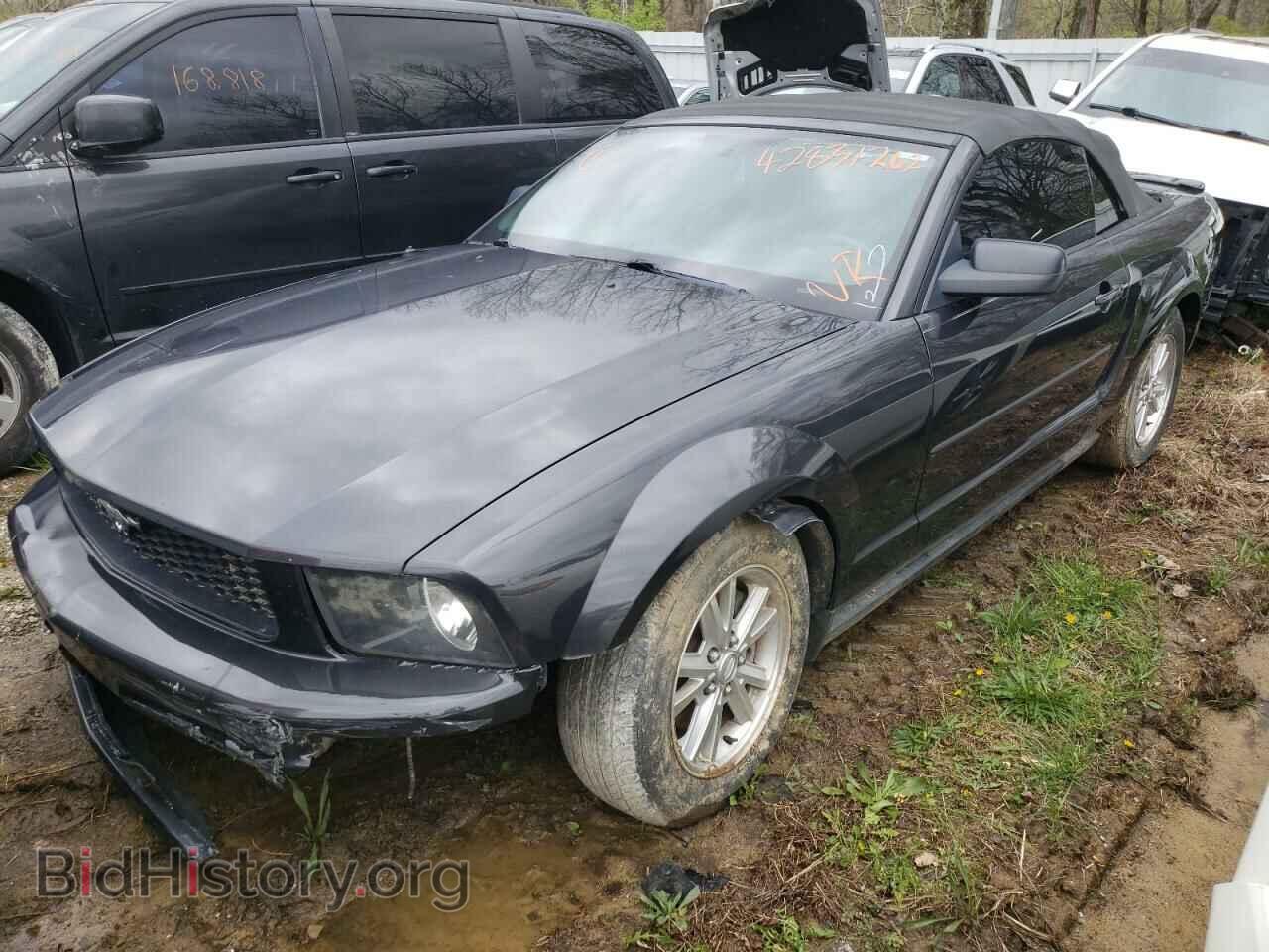 2007 FORD MUSTANG - VIN: 1ZVFT84N375354594 - Фото 2