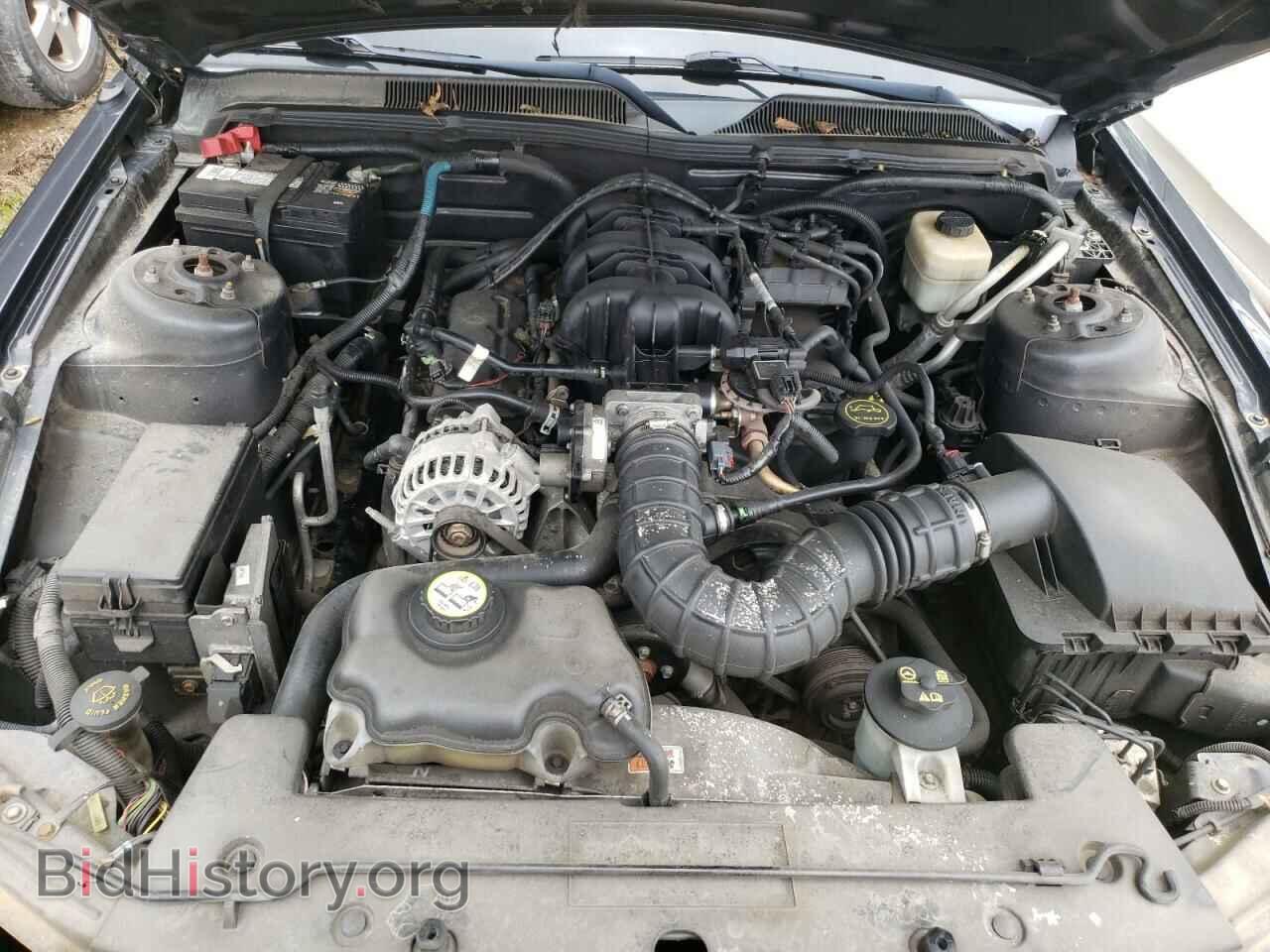 2007 FORD MUSTANG - VIN: 1ZVFT84N375354594 - Фото 7