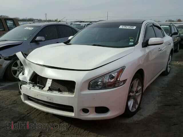 2009 NISSAN MAXIMA - VIN: 1N4AA51E59C824831 - Фото 2
