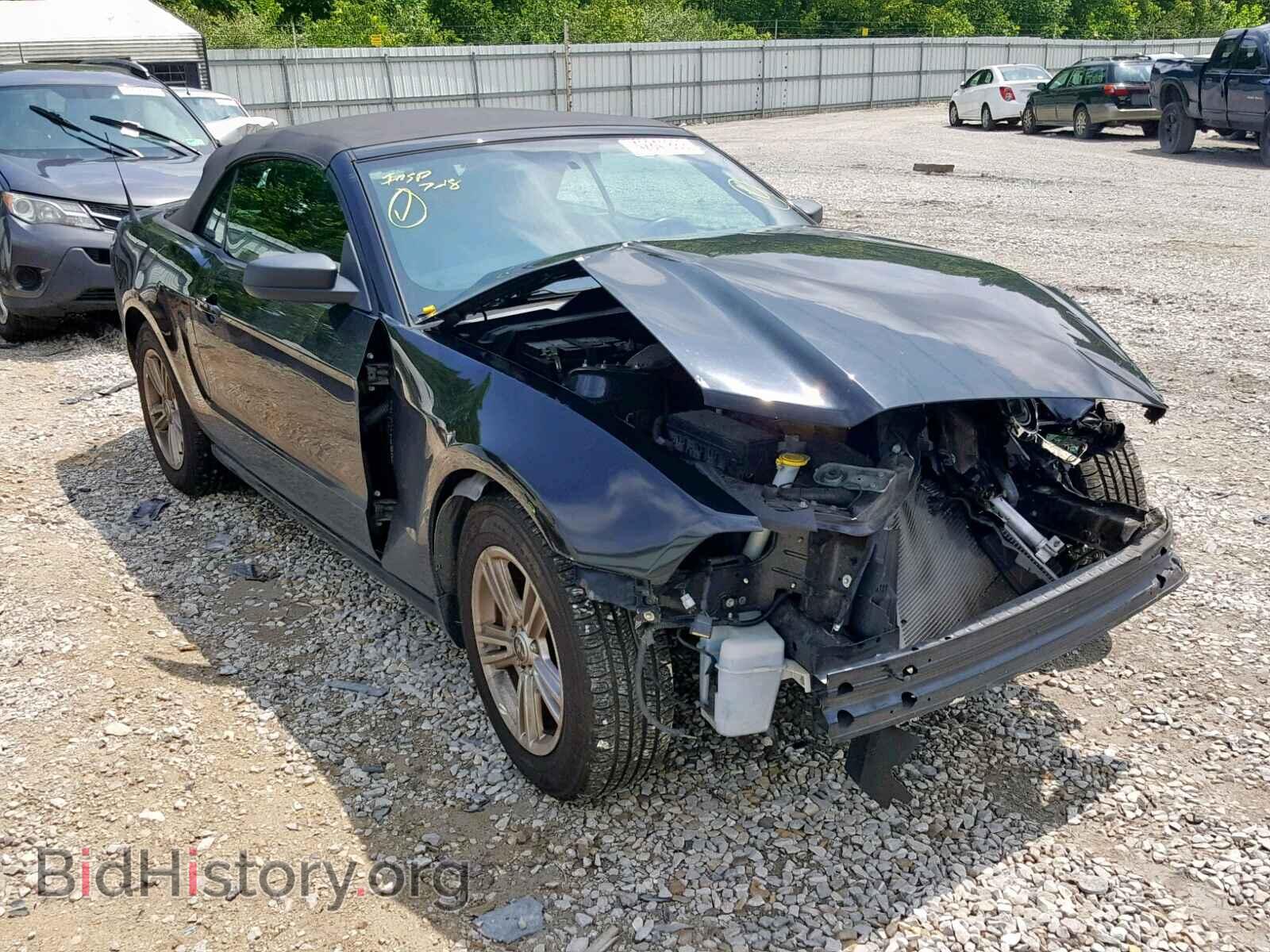 Photo 1ZVBP8EM3D5239157 - FORD MUSTANG 2013