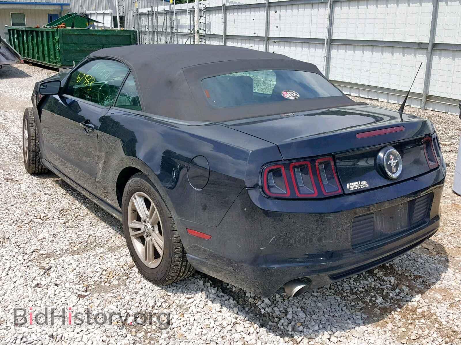 2013 FORD MUSTANG - VIN: 1ZVBP8EM3D5239157 - Фото 3