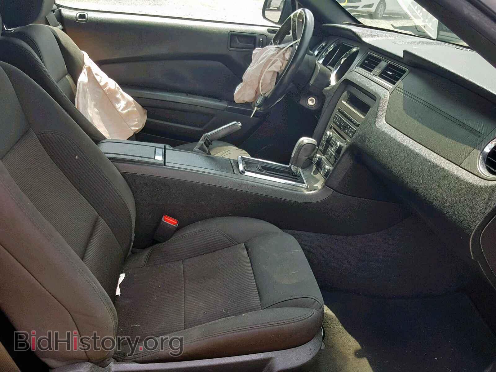 2013 FORD MUSTANG - VIN: 1ZVBP8EM3D5239157 - Фото 5