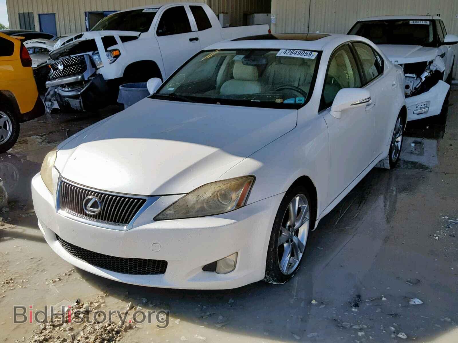 2009 LEXUS IS 250 - VIN: JTHBK262092083419 - Фото 2