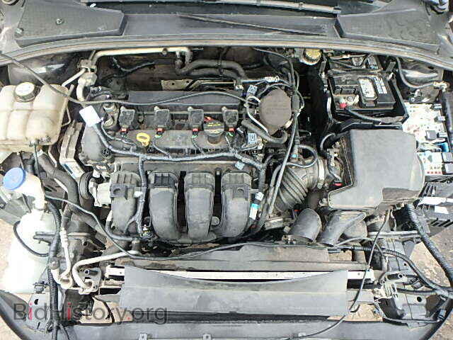 2013 FORD FOCUS - VIN: 1FADP3F25DL207405 - Фото 7