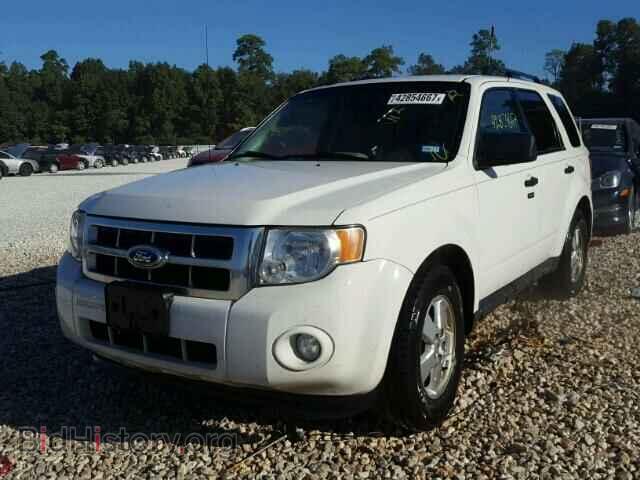 2011 FORD ESCAPE - VIN: 1FMCU0DG0BKA07445 - Photo 2