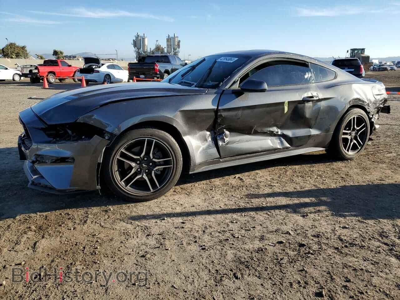Фотография 1FA6P8THXK5169282 - FORD ALL Models 2019