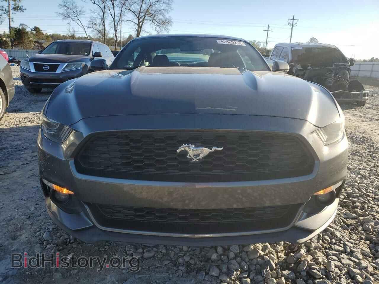2017 FORD ALL Models - VIN: 1FA6P8THXH5246547 - Photo 5