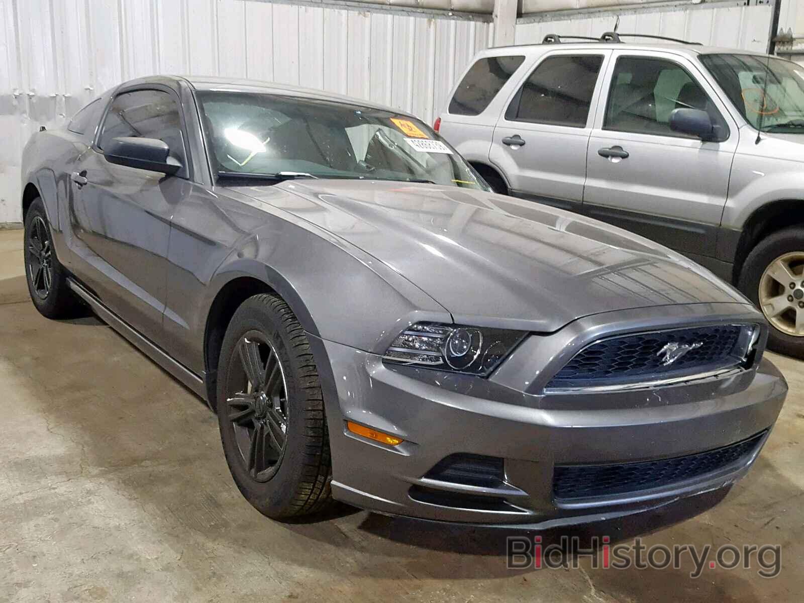 Photo 1ZVBP8AM0D5229207 - FORD MUSTANG 2013