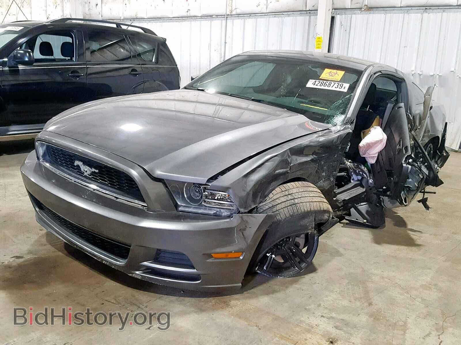 2013 FORD MUSTANG - VIN: 1ZVBP8AM0D5229207 - Фото 2
