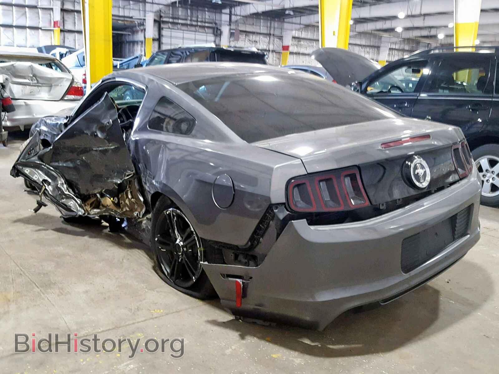 2013 FORD MUSTANG - VIN: 1ZVBP8AM0D5229207 - Фото 3
