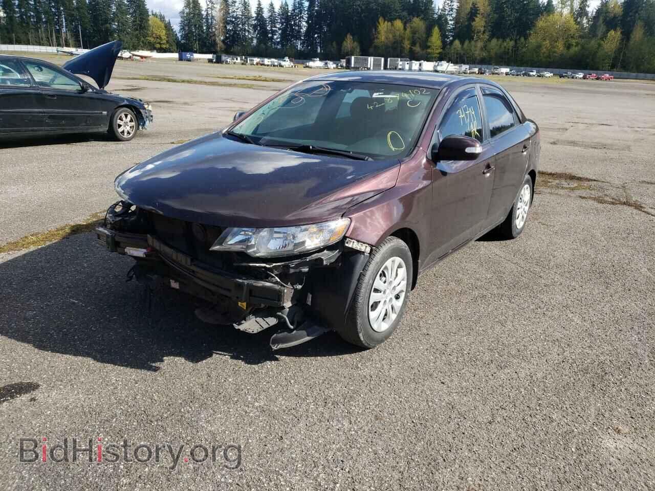 2010 KIA FORTE - VIN: KNAFU4A25A5217177 - Фото 2
