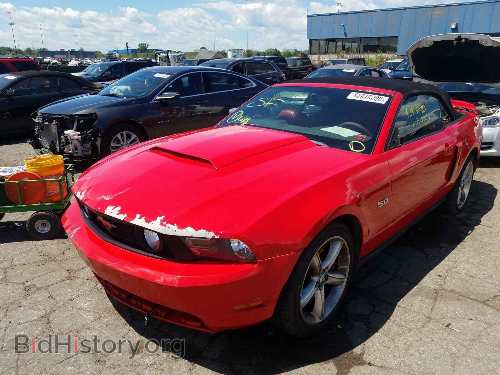 2011 FORD MUSTANG - VIN: 1ZVBP8FF7B5108598 - Фото 2