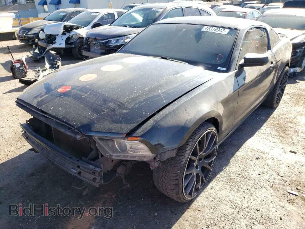 2013 FORD MUSTANG - VIN: 1ZVBP8AM1D5209256 - Фото 2