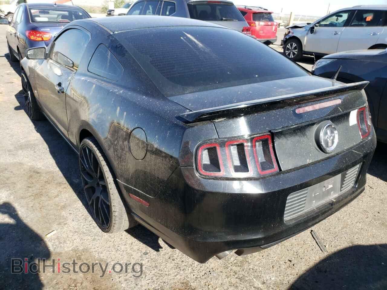 2013 FORD MUSTANG - VIN: 1ZVBP8AM1D5209256 - Фото 3