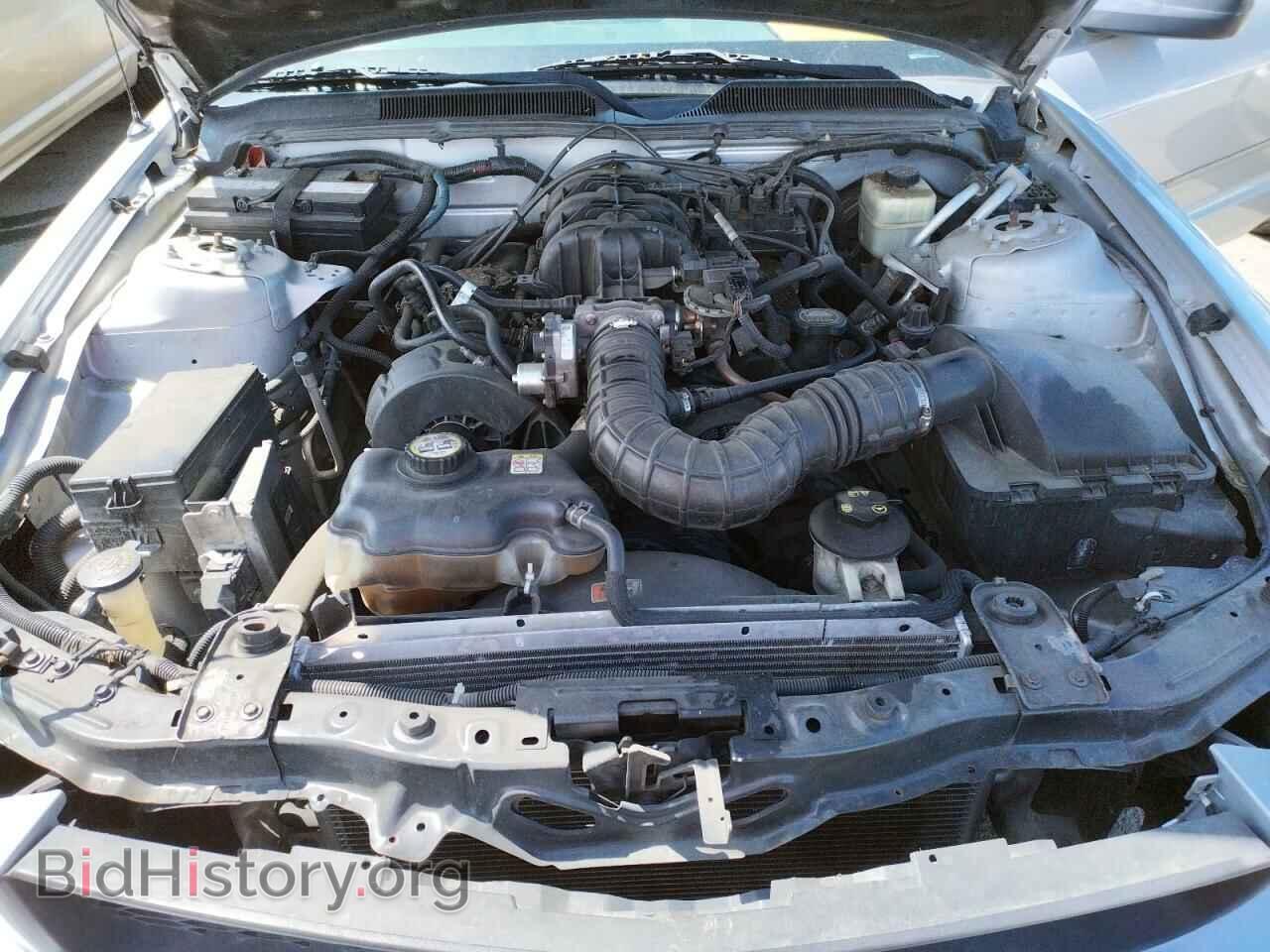 2006 FORD MUSTANG - VIN: 1ZVFT80N365200536 - Фото 7