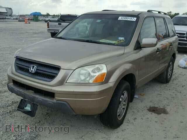 2005 HONDA PILOT - VIN: 5FNYF18505B012021 - Фото 2