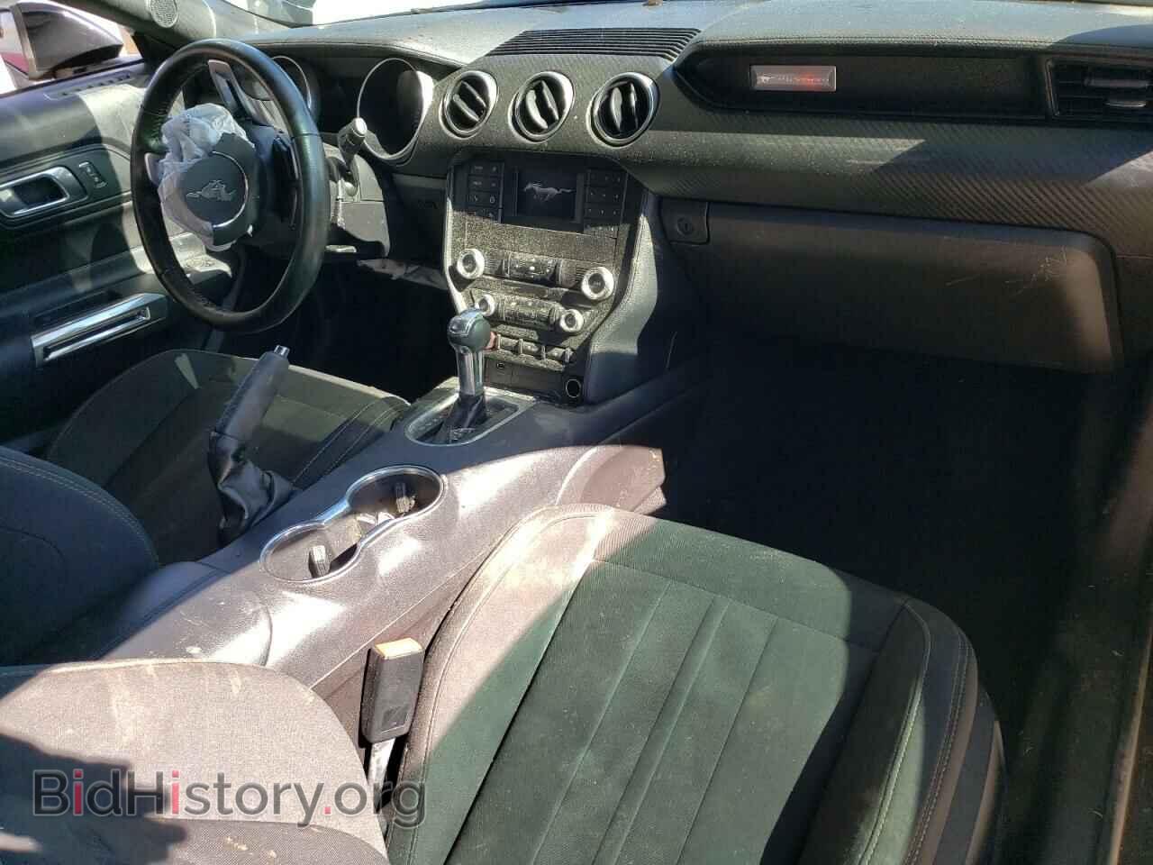 2019 FORD ALL Models - VIN: 1FA6P8TH4K5184358 - Photo 8